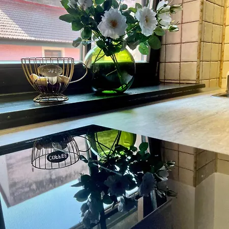 Iris Le Dome Appartement Timişoara