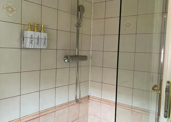 Iris Le Dome Тимишоара